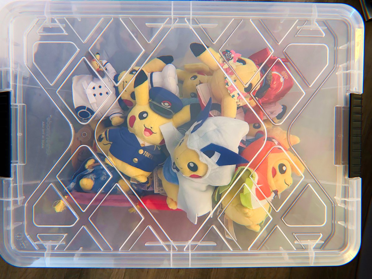 Pikachu jail. They will be unleashed in the new house.